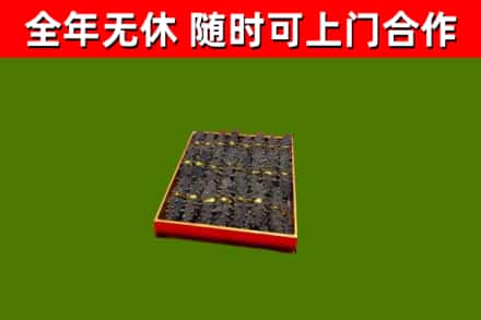 浦城回收海参